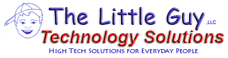 The Little Guy Technology Solutions logo